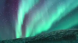 Relaxing Music for Sleeping|5am quiet music for relaxation,meditation #relaxing #sleeping
