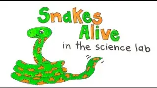 Life Hack- Lolly snakes in the Science Lab | Make Science Fun