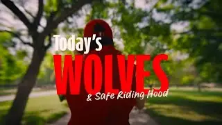 The New Wolves and Deepfakes: How to Detect Digital Fraud | Santander
