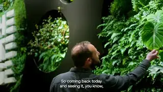 How's it Growing? | Checking in on the iconic Climate Pledge Living Wall
