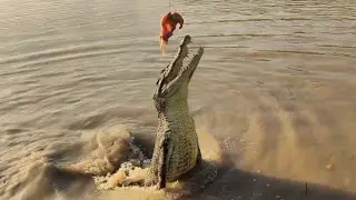 Jumping Crocodile Cruise Darwin NT Australia