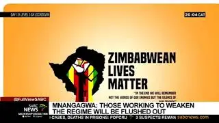 Zimbabwean Lives Matter | Mnangagwa warns those working at weakening his government
