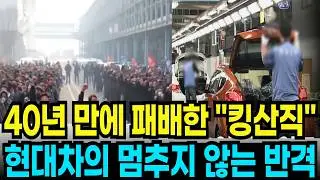 연봉 1억 킹산직, 이제 끝났다… 현대차 ‘결정적 반격’에 노조가 처음 밀린 이유