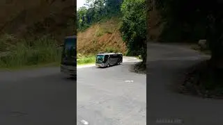 BUS PALALA E06
