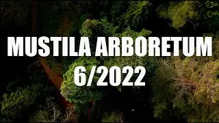 Mustila Arboretum, Elimäki kesä/summer 2022