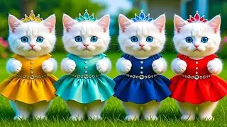 Cat Dance Funny Video 😹🐾️Viral Cat Dance 💃Videos For Cats 😹 #dancingcat#catdance #cat @catladli71471