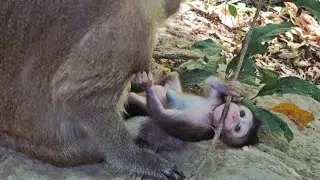 Hey Mom, Don't bother me, I'm playing.#video #viralvideo #viral #funny #fyp #foryou #love #new 