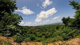 Right Here - Tacarigua Forest Reserve