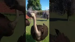 | Planet Zoo | Planet Zoo на русском языке | Летсплей | #planetzoo #planetzoogame
