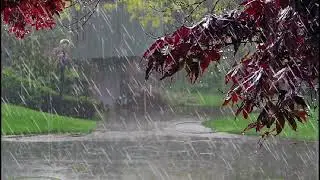 Som de CHUVA e TROV&Atilde;O para DORMIR e relaxar. Sono bom #chuva #somdechuva #trovao #relaxar #natureza