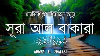 ঘরের উন্নতির জন্য সূরা বাকারা প্রতিদিন শুনুনI Surah Baqarah Full Quran Recitation | Ahmed Al Shalabi