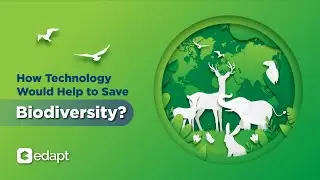 How Technology Would Help to Save Biodiversity?| Online Course With Certification