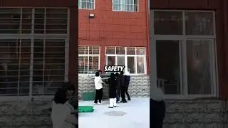 coordinated rescue of a cat