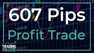 607 Pips Profit Trade | Learn to Trade | Trading College UK