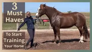 Groundwork for Horses - The Only Tools You Need