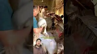 Como &eacute; o processo de fabrica&ccedil;&atilde;o de casacos de l&atilde; #l&atilde; #casacos #como&eacute;feito