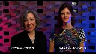 Sara Blackwell interviewed by Gina Johnsen about Bill S.386