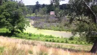 Overlook at Wooster Cemetery