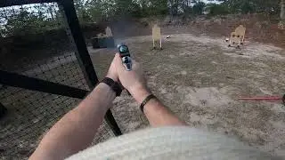 2023 Florida State IDPA Championship -Carry Optics Master 1st overall