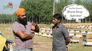 Beekeepers Life : Beekeeping Information | Local Honey Beekeepers | Honey Bee Farming - Bharat Honey