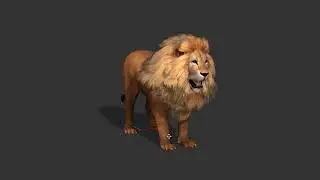 LION TEST