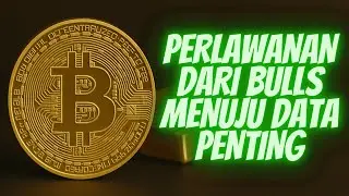 Bitcoin Rises Towards 90,000! Can Crypto Secure Reach This Next Key Level After Critical Data Rel...