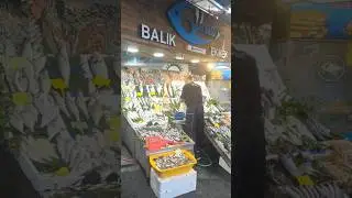 Fresh Fish Shop Emniyet Evleri #salmon #seabass #seabream #bluefish #anchovies #redmullet