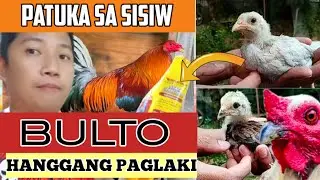 Sisiw na bulto ang katawan | Ano ang dapat Gawin