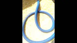 Corn vacuum system