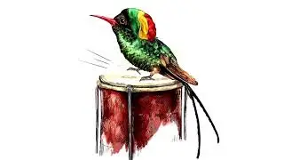 Acoustic Reggae Instrumental