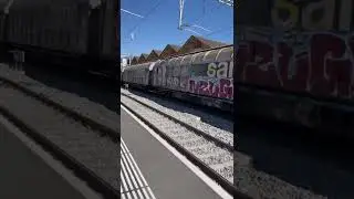 Switzerland Cargo Train #switzerland #shorts #train #enjoy #cargotrain #cargo #mooncreatives