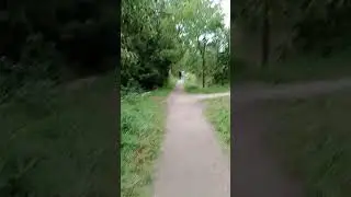 Canada Toronto Woolwich trails