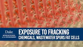 Exposure to Fracking Chemicals and Wastewater Spurs Fat Cells