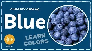 Blue Song for Kids | Learn Colors | Vocabulary Song | Curiosity Crew HQ 🔵