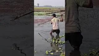 very experience's fisherman 🐟🐟..#shorts #facts #amazingfishing