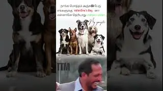 valentine's day வா! #memes #viral #valentinesday #memes #trendingshorts #funny #comedy #ttm