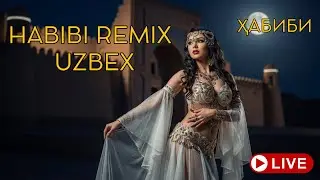Habibi Remix Uzbekistan 2026 &ndash; Calm Night Chill & Relax Deep House