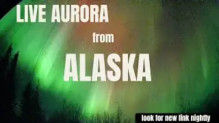 LIVE! Alaska Aurora Live Stream Feb 01-02 2026