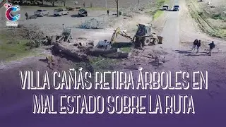 Villa Ca&ntilde;&aacute;s retira &aacute;rboles en mal estado sobre la ruta para evitar accidentes