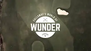 Rogue ST Pro Irons | World of Wunder