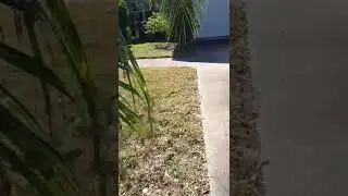 Another Targeted parent trying to deliver Christmas Presents