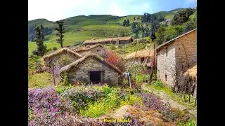 सबसे बड़े पँवालीकांठा बुग्याल की यात्रा (भाग-2) || Panwalikantha Bugyal Trek