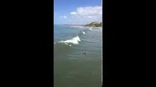 Surfs up at San Clemente