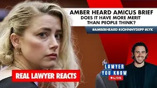 LIVE! Real Lawyer Reacts: Amber Heard Amicus Brief - Does It Have More Merit Than People Think?