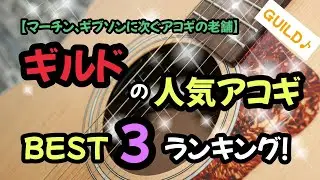 【2024年】ギルドの人気アコギBEST3！【Guildは、マーチン、ギブソンと並ぶ3大ギター・メーカーです！】