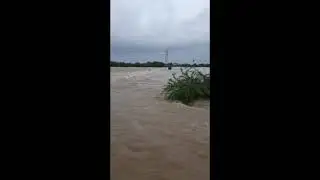 Mitro aaaa video vadhune vadhu Sher karjo jethi karine bija loko aavi bhul nakre