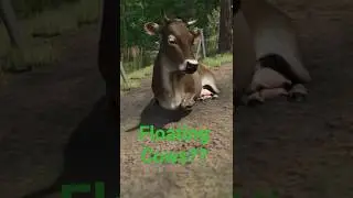 FLOATING COWS! - Farming Simulator 25