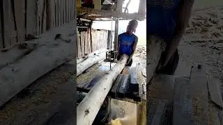 sawmill wood operation #sawmill #sawmillwood #woodworking