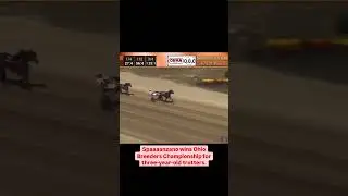 Spaaaanzano! #harnessracing #athlete #horse #racing #shorts