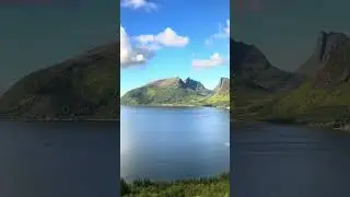 Amazing View of the Bergsfjord, Senja Island Norway 🇳🇴 | Summer in the North #norway #nature #travel